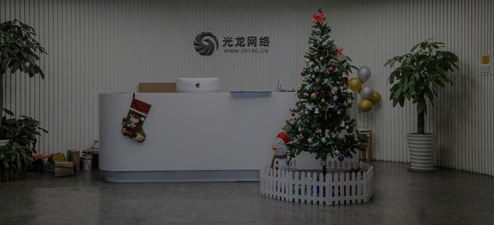 关于光龙